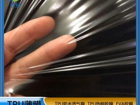 TPU防水透气膜TPU薄膜 0.03mm低透明型号：195BMC2 0.03mm