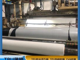 tpu膜白色雾面防水透气膜复合布料纺织移印 等功能性薄膜生产厂家直销